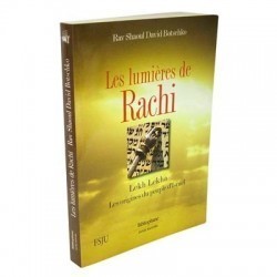 Lumières de Rachi - Choftim - Les 4 pouvoirs - Biblieurope