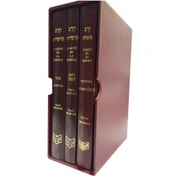 L'Arme de la parole - Coffret 3 fêtes - Biblieurope