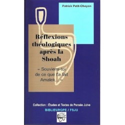 Réflexions théologiques après la Shoah - Biblieurope