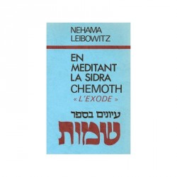En méditant la Sidra -T II- Chémoth - Exode - Biblieurope