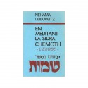 En méditant la Sidra -T II- Chémoth - Exode - Biblieurope