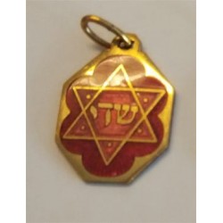 Pendentif Chaday avec étoile de David - Biblieurope
