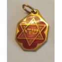 Pendentif Chaday avec étoile de David - Biblieurope