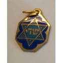 Pendentif Chaday avec étoile de David - Biblieurope