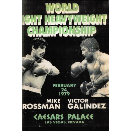 Deux poings pour une étoile - Biblieurope