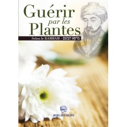 Guérir par les plantes selon le Rambam - Biblieurope