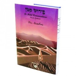 Le Petit Commentaire T4- LES NOMBRES / BAMIDBAR - Biblieurope