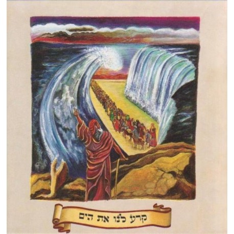 Hagadah de Pessah - Hebreu en couleur - Biblieurope