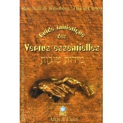 Guide initiatique des vertus essentielles - Biblieurope