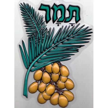 LOT de 2 décorations de SOUCCA - Biblieurope