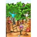 Raconte moi la paracha. Bamidbar T4 - Biblieurope