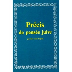 Précis de pensée juive - Biblieurope