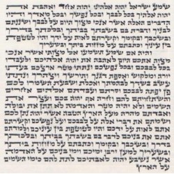 PARCHEMIN MEZOUZA 12 Cm - Biblieurope
