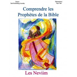 Comprendre les Prophètes de la Bible - Biblieurope