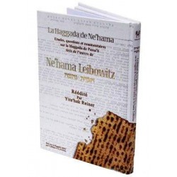 La Haggada de Ne'hama - Biblieurope