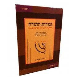 Les GRANDEURS de la TORAH Guevourot Hatorah Chemot L'exode TOME 2 - Biblieurope