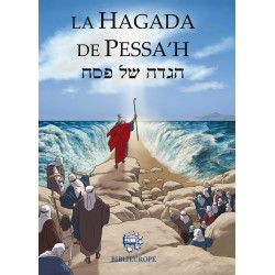 hagada de pessah sefarad couleur - Biblieurope