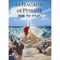 hagada de pessah sefarad couleur - Biblieurope