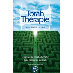 Torah Thérapie - Un guide de psychotérapie esprit Torah - Biblieurope