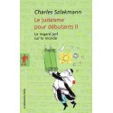 Le judaisme pour débutants vol.2 - Biblieurope