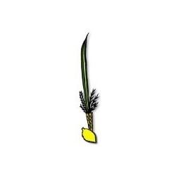 KIT LOULAV + ETROG (Qualité Alef) - Biblieurope 2