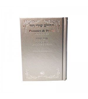 Psaumes de David - Hébreu Français - argent - Biblieurope