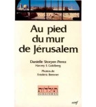 Au pied du mur de Jérusalem