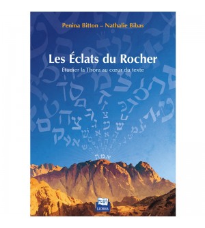 LES ÉCLATS DU ROCHER