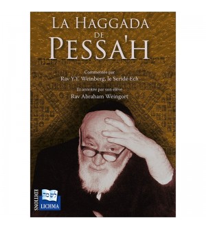 La HAGGADA - SERIDÉ ECH