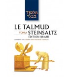 Pessa'him 1 - Le Talmud Steinsaltz