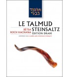 Pessa'him 1 - Le Talmud Steinsaltz