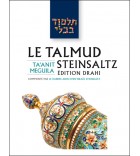 Pessa'him 1 - Le Talmud Steinsaltz