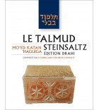 Pessa'him 1 - Le Talmud Steinsaltz