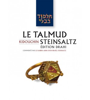 Pessa'him 1 - Le Talmud Steinsaltz