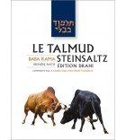 Pessa'him 1 - Le Talmud Steinsaltz