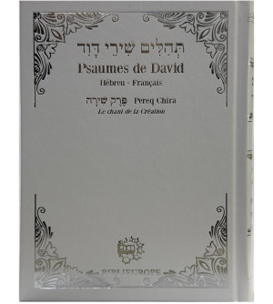 Psaumes de David - Hébreu Français blanc argent - Biblieurope