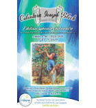 Calendrier Joseph Bloch. 5783 : 2022-2023