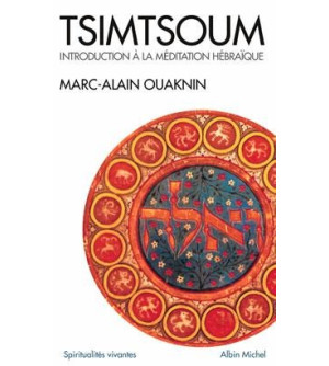 Tsimtsoum