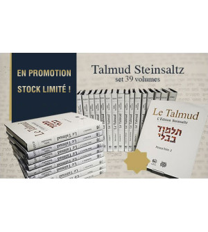 Talmud Steinsaltz - Erouvin 1