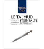 Pessa'him 1 - Le Talmud Steinsaltz