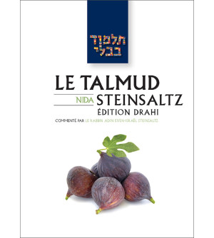 Nida - Le Talmud Steinsaltz T42 (couleur)