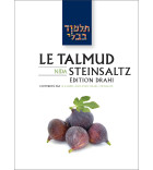 Nida - Le Talmud Steinsaltz T42 (couleur)