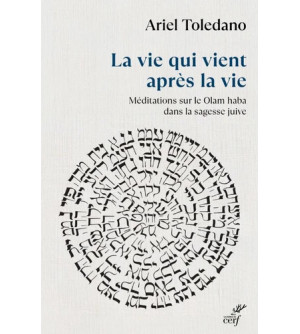 La vie qui vient après la vie