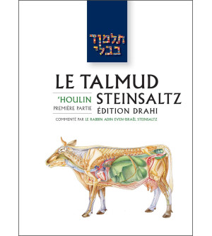'Houlin 1 - Le Talmud Steinsaltz T37 (couleur)